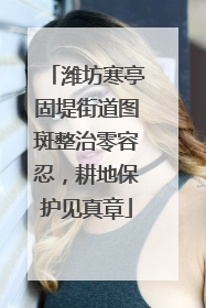 潍坊寒亭固堤街道图斑整治零容忍，耕地保护见真章